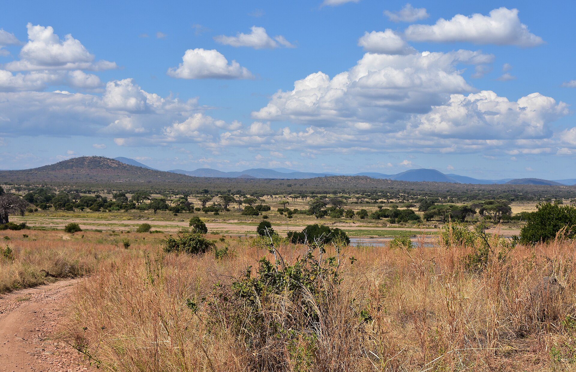 Ruaha National Park