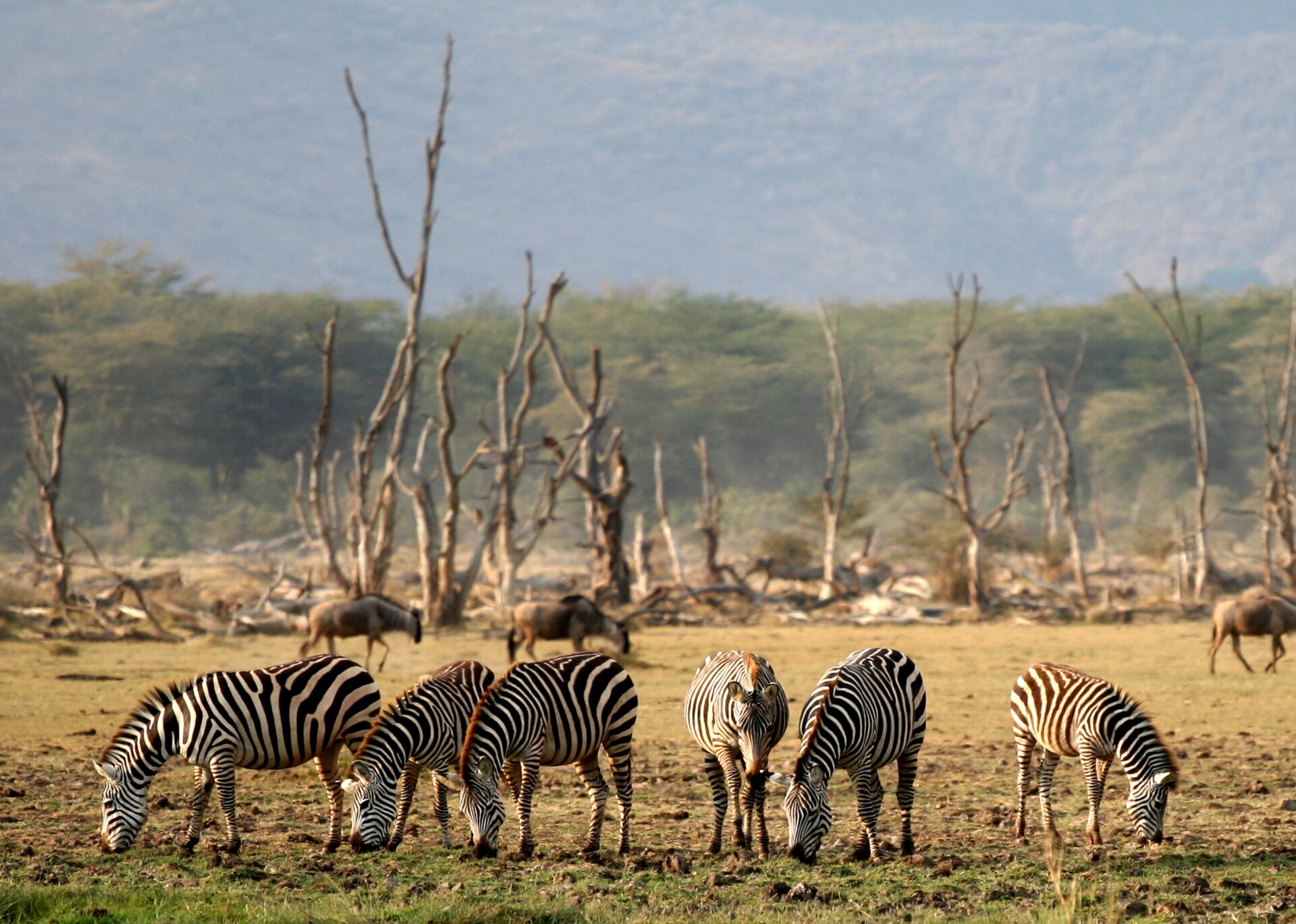 Best Time to Visit Tanzania