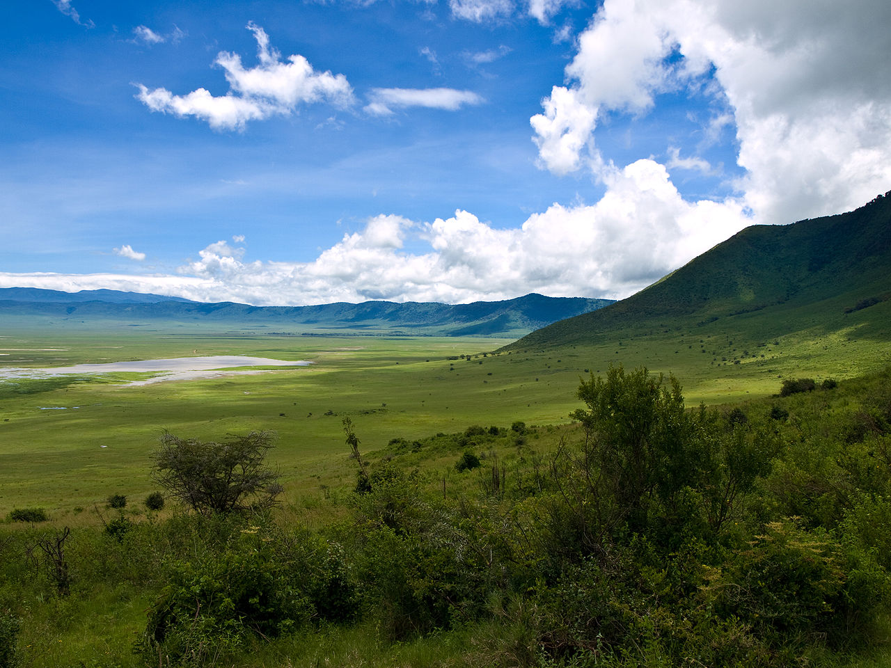 Tanzania Lodge Safaris